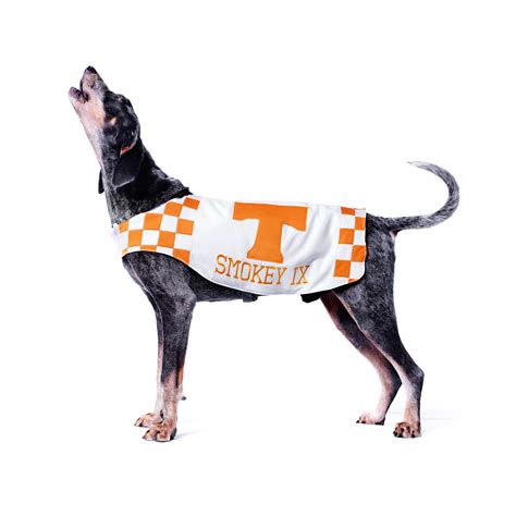 Smokey: The Face of Tennessee Sports and Pride